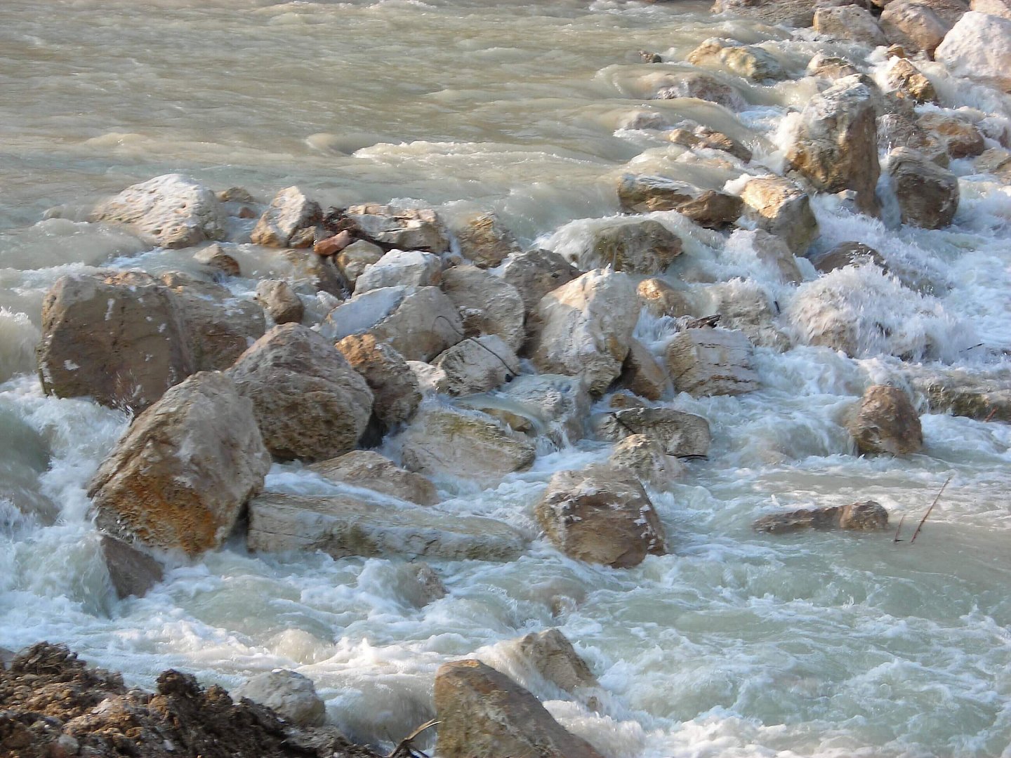 Briglia_Astea