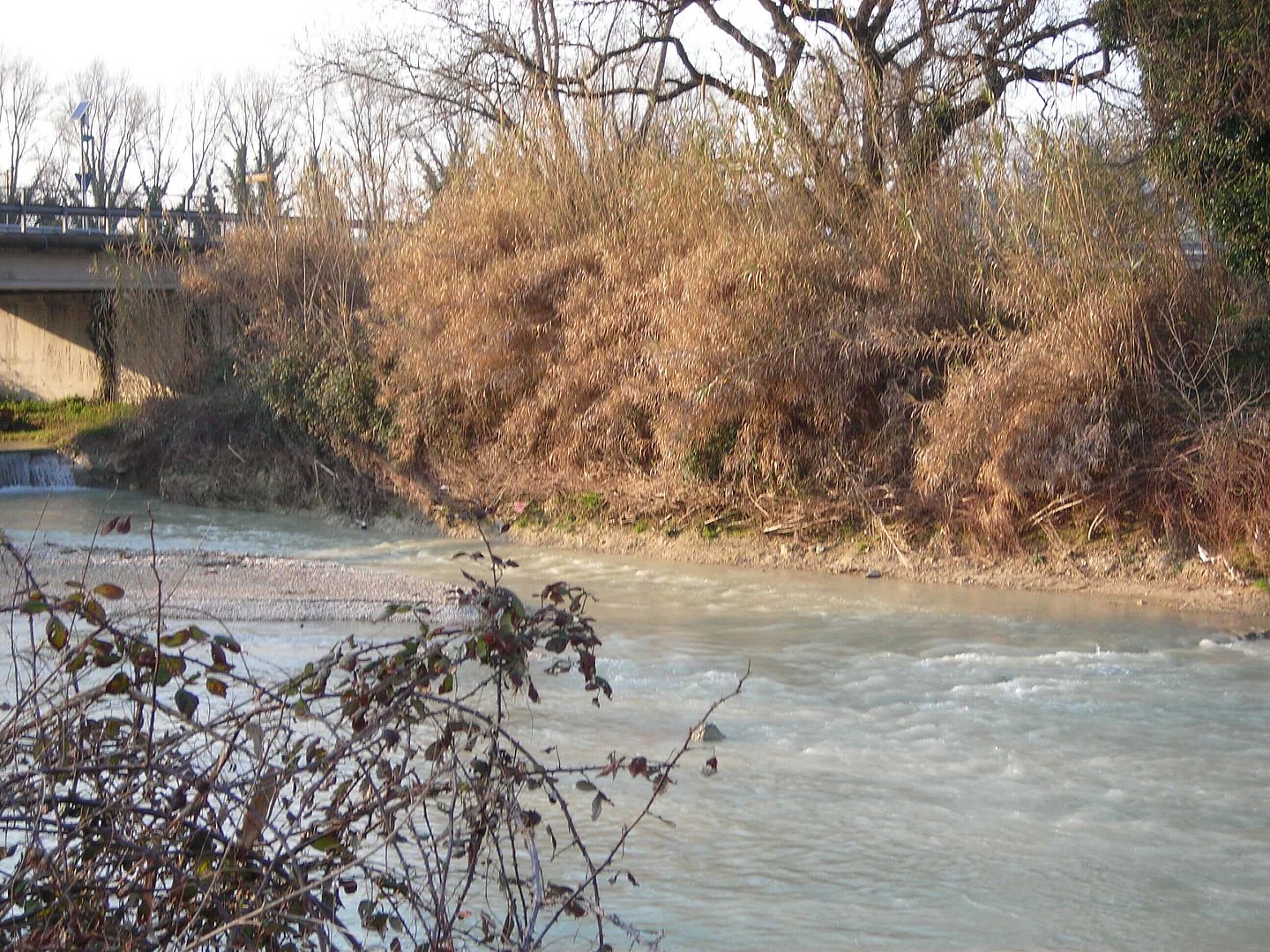 Briglia_Astea