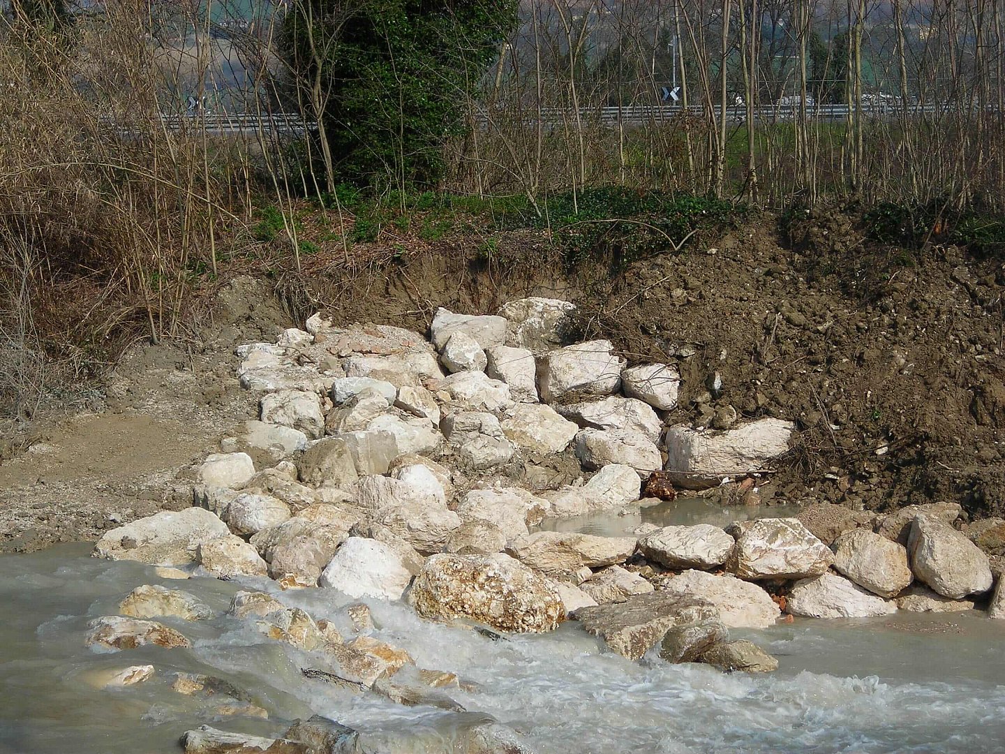 Briglia_Astea