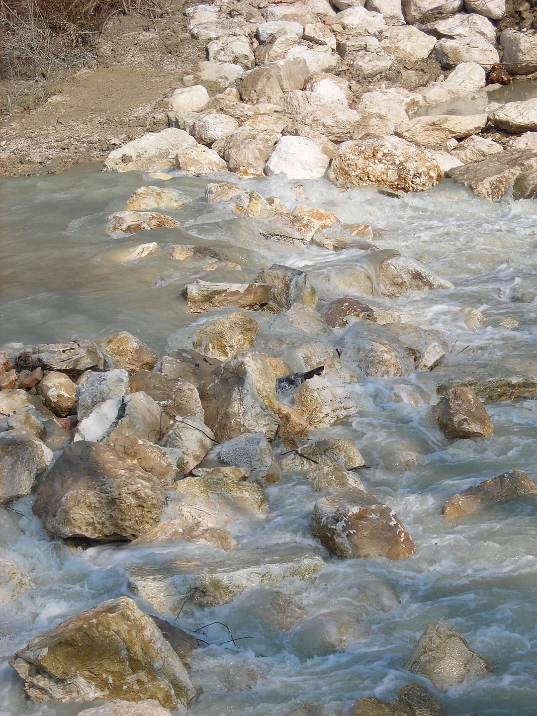 Briglia_Astea
